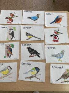 День зимующих птиц в СП