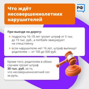 Карточка правила для питбайков